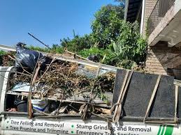 Best Construction Debris Removal  in Vandergrift, PA